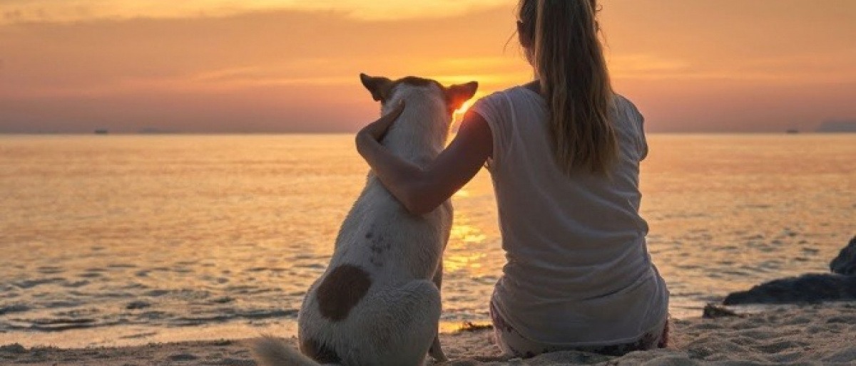 Eine Frau genießt den Vorteil Single zu sein und sitzt mit dem Hund am Strand