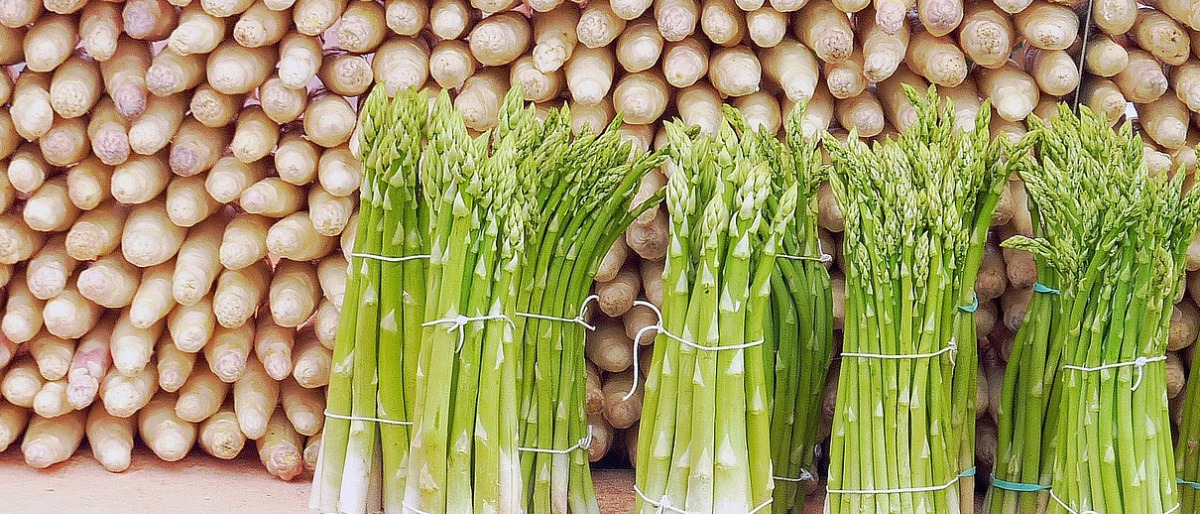 Grüner Spargel liegt vor aufgestelltem weißem Spargel (gesund)