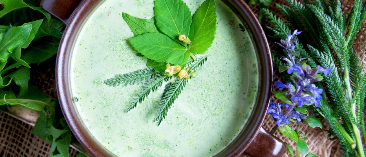 Gierschsuppe mit essbaren Wildkräutern