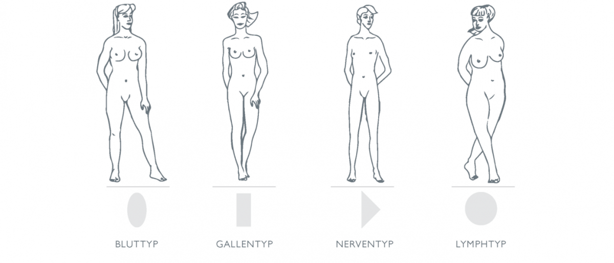 Auf einem Bild sind unterschiedliche Typen nach der Typenlehre der Methode Physiodermie aufgezeichnet