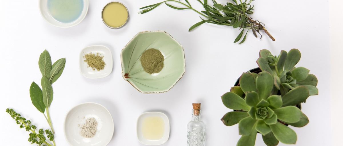 Vegane Kosmetik liegt neben Pflanzen auf einer weißen Fläche