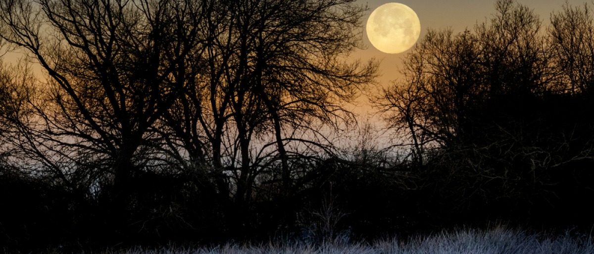 Vollmond im Januar 2023