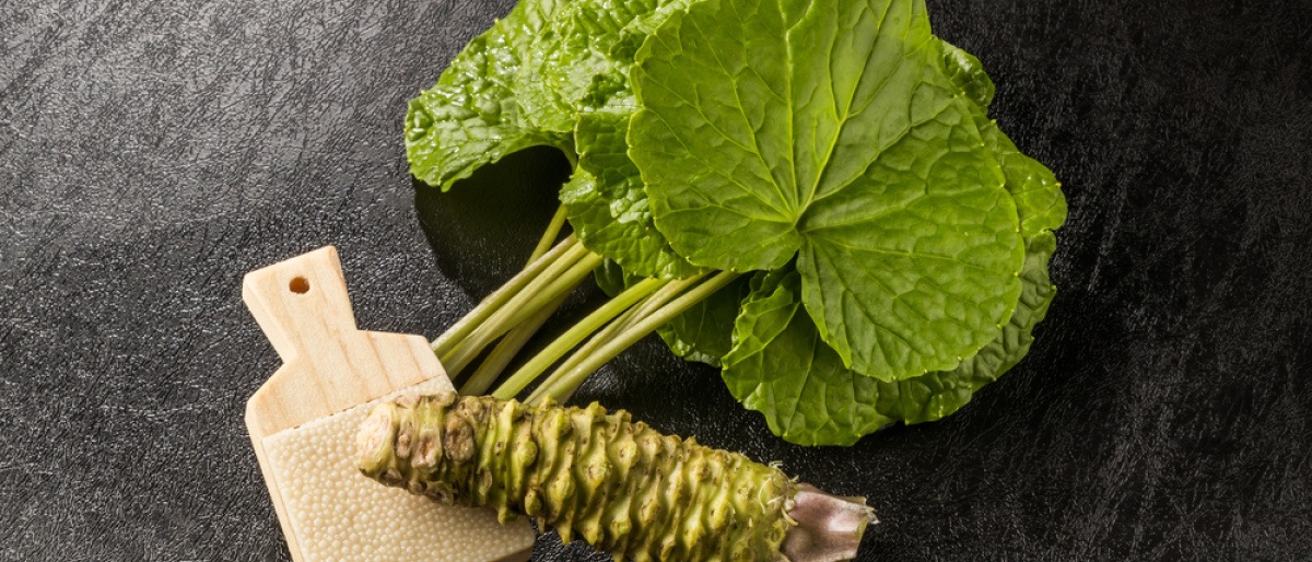 Eine Wasabi Pflanze ist zu sehen
