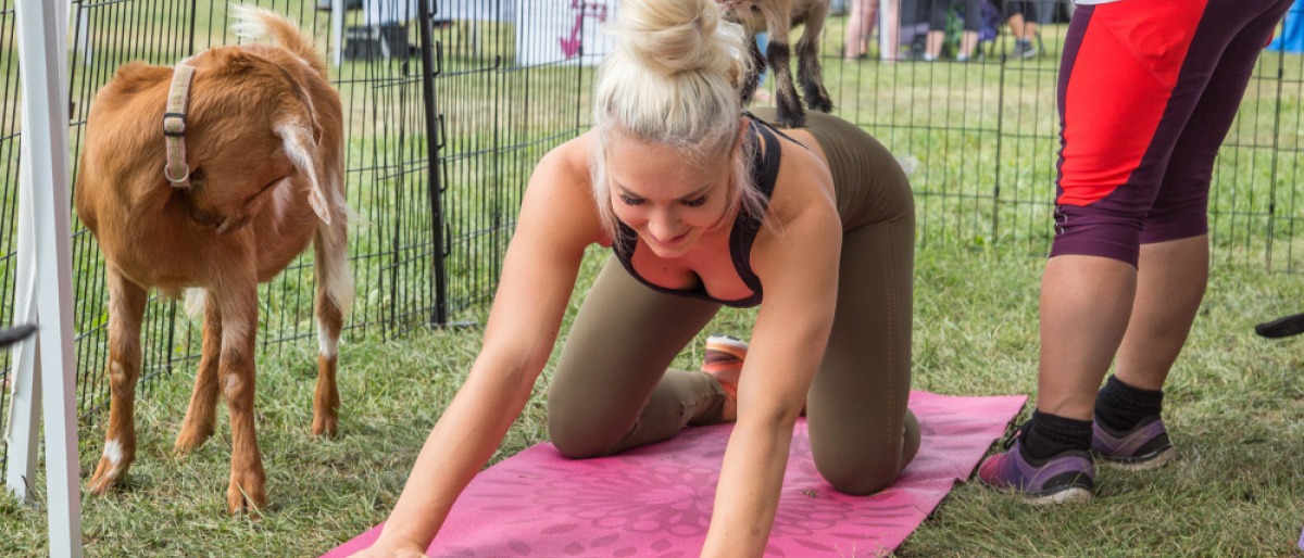 Frau macht mit Ziegen Yoga