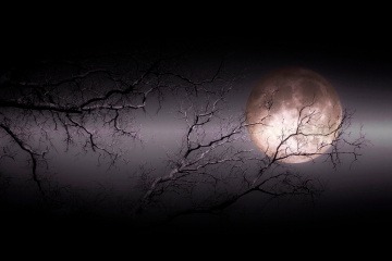 Vollmond im Februar 2023 hinter verschneiten Ästen