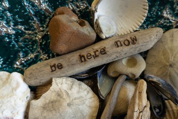 Sammlung aus Muscheln, Treibholz mit Aufschrift "Be here now"