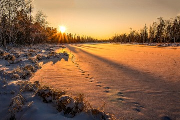 Verschneite Landschaft im Januar 2024