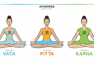 Eine Grafik zeigt die verschiedenen Dosha Typen Vata, Pitta und Kapha