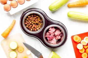 In einem Hälft es Futternapfes ist Trockenfutter, in der anderen Hälfte befindet sich rohes Fleisch