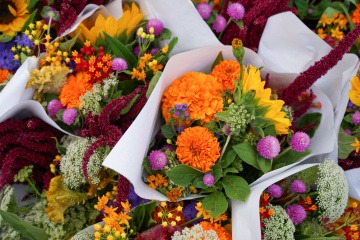 Wer einen Blumenstrauß selber binden möchte, greift dazu bestimmt auf Blumen wie die im Bild gezeigten zurück, die man in vielen Gärten finden kann.