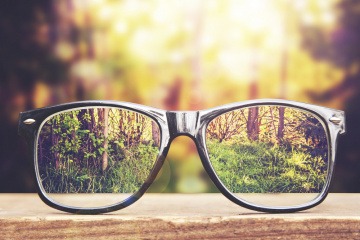 Eine Brille liegt vor einem Wald