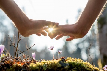 Zwei Hände über ein paar Blumen in der Natur