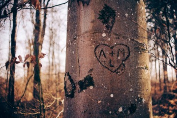Taten sind zwar ebenfalls wichtig, wenn Liebende die gegenseitige emotionale Bindung stärken wollen. Doch es reicht nicht, einfach ein Herz und zwei Buchstaben in einen Baum zu ritzen, wie in diesem Bild geschehen, um lange glücklich zu bleiben. 