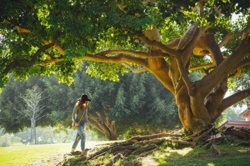 Eine Frau geht zu einem Baum, der energetische Wirkung haben soll