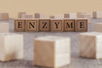 Das Wort Enzyme aus Holzbuchstaben