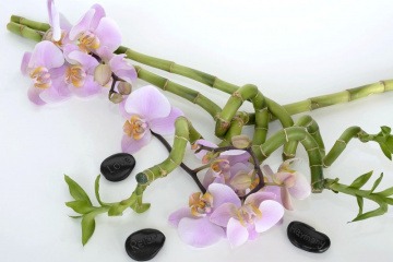 Zwischen schwarzen Steinen mit Aufschrift liegen Orchideen und Bambuszweige
