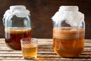 Das fermentierte Getränk Kombucha ist in Gefäße abgefüllt