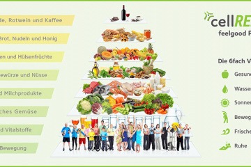 Eine Food Pyramide von cellRESET ist abgebildet