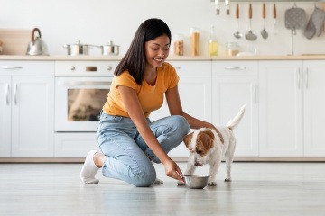 Besitzerin füttert ihren Hund. 