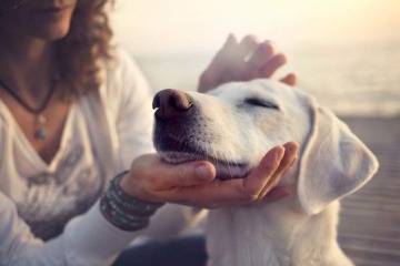 Eine Frau streichelt einen Hund mit hängenden Ohren