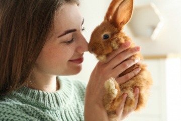 Kaninchen als Haustier - junge Frau hält ein Kaninchen auf dem Arm.