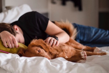 Ein Mann in der Midlife Crisis liegt mit dem Hund im Bett