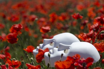 Die Wirkung von Mohn auf die Haut wird mit einer Maske verbildlicht
