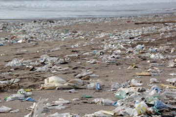 Plastikflaschen liegen als Müll angeschwemmt am Strand