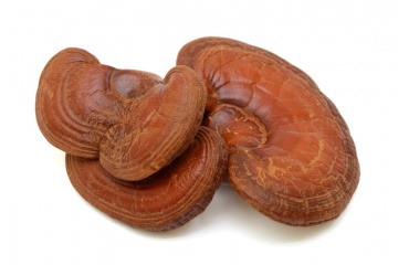 Der Reishi ist seit mehr als 4000 Jahren in der TCM bekannt. 