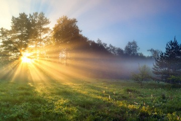 Auf einer Lichtung in einem Waldstück geht die Sonne hinter den Baumkronen auf. Die dadurch gebrochenen Lichtstrahlen fallen auf ein Feld im Vordergrund.
