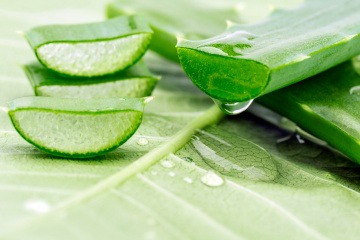 Saft der Aloe Vera