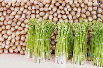 Grüner Spargel liegt vor aufgestelltem weißem Spargel (gesund)