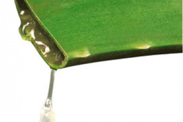 Das Gel der Aloe Vera