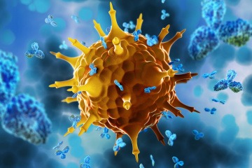 Ein Virus ist grafisch dargestellt