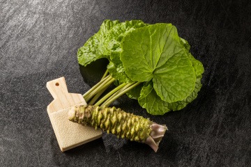 Eine Wasabi Pflanze ist zu sehen