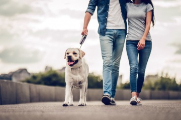 Frau und Mann machen Bewegung mit Hund