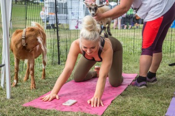 Frau macht mit Ziegen Yoga