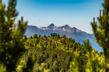 Hütte in einem Wald von Zirben