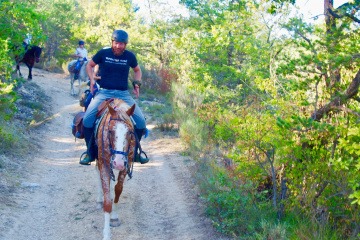 Florian Hornig reitet auf einem Pferd durch die Provence