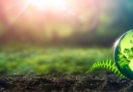 Vorschaubild für Seminar Unser Planet Erde von P. Jentschura